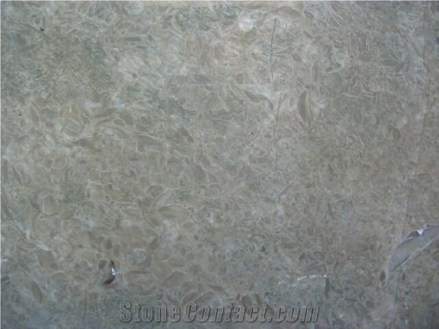 Atlas Pearl Limestone Slabs & Tiles, Tunisia Grey Limestone