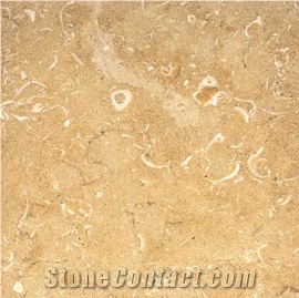 Qabattia Limestone Slabs & Tiles, Palestine Beige Limestone