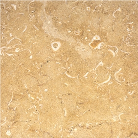 Qabattia Limestone Slabs & Tiles, Palestine Beige Limestone Qabattia Limestone Slabs & Tiles, Palestine Beige Limestone