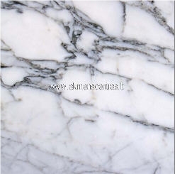 Arabescato Corchia Marble Slabs & Tiles, Italy White Marble Arabescato Corchia Marble Slabs & Tiles, Italy White Marble