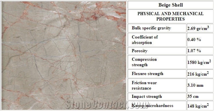 Shell Beige Marble Slabs & Tiles, Turkey Beige Marble