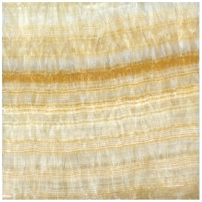 Honey Onyx Sable 30cm