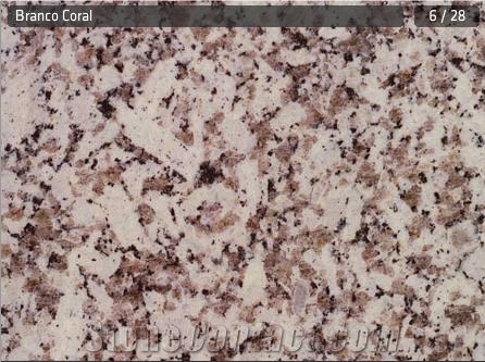 Branco Coral Granite Slabs & Tiles, Portugal Grey Granite