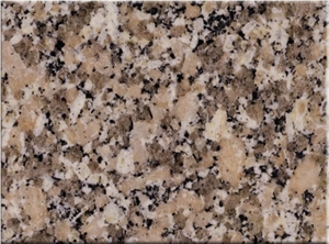 Gris Mondariz Granite Slabs & Tiles, Spain Grey Granite
