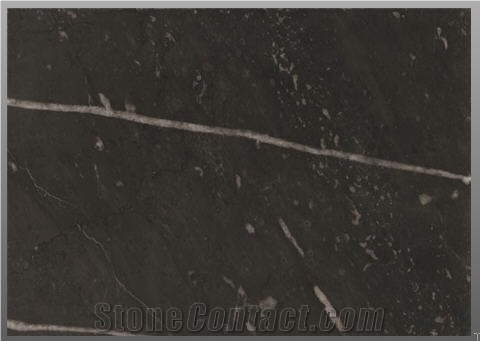 Noir Berbere Marble Slabs & Tiles, Tunisia Black Marble