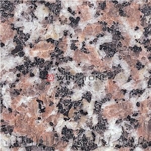 Spice Brown Granite Tiles Slabs