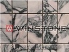 White Marble Mosaic Wsm-027
