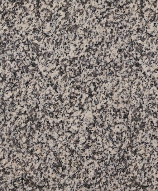 Gris Alba Granite Slabs & Tiles, Spain Grey Granite