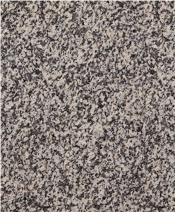 Gris Alba Granite Slabs & Tiles, Spain Grey Granite Gris Alba Granite Slabs & Tiles, Spain Grey Granite
