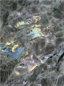 Oyster Pearl Granite Slabs & Tiles, India Grey Granite