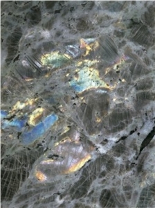 Oyster Pearl Granite Slabs & Tiles, India Grey Granite Oyster Pearl Granite Slabs & Tiles, India Grey Granite