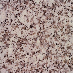 Branco Coral Granite Slabs & Tiles, Portugal Grey Granite