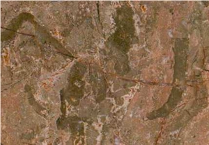 Breccia Tavira Limestone Slabs & Tiles, Portugal Brown Limestone Breccia Tavira Limestone Slabs & Tiles, Portugal Brown Limestone