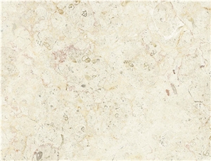 Jerusalem Bone Limestone Slabs & Tiles
