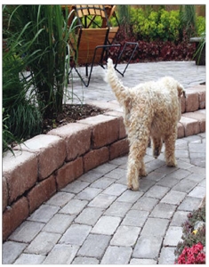 Grey Granite Paving Stone