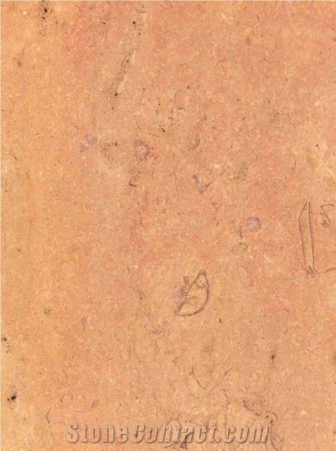 Cenia Limestone Slabs & Tiles, Spain Beige Limestone