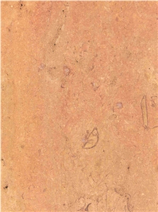 Cenia Limestone Slabs & Tiles, Spain Beige Limestone Cenia Limestone Slabs & Tiles, Spain Beige Limestone