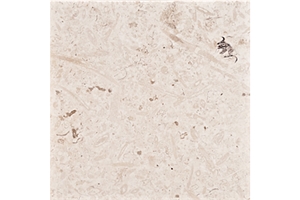 Marbella Shellstone Limestone Slabs & Tiles