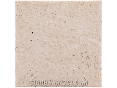 Marbella Shellstone Limestone Slabs & Tiles, Philippines Beige Limestone