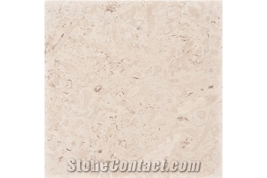 Marbella Shellstone Pavers, Beige Limestone Pavers