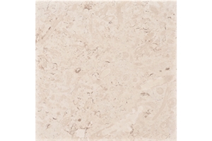 Marbella Shellstone Pavers, Beige Limestone Pavers