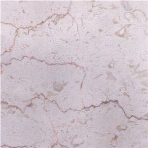 Trani Fiorito Limestone Slabs & Tiles, Italy Beige Limestone