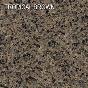 Tropical Brown Granite Slabs & Tiles, Saudi Arabia Brown Granite