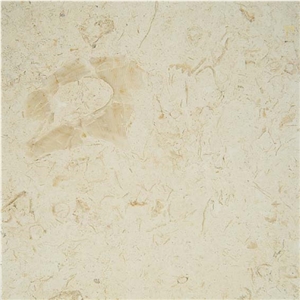 Jerusalem Shells Limestone Slabs & Tiles
