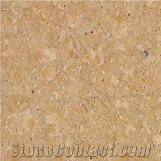 Amarillo Fosil Limestone Slabs & Tiles, Spain Yellow Limestone