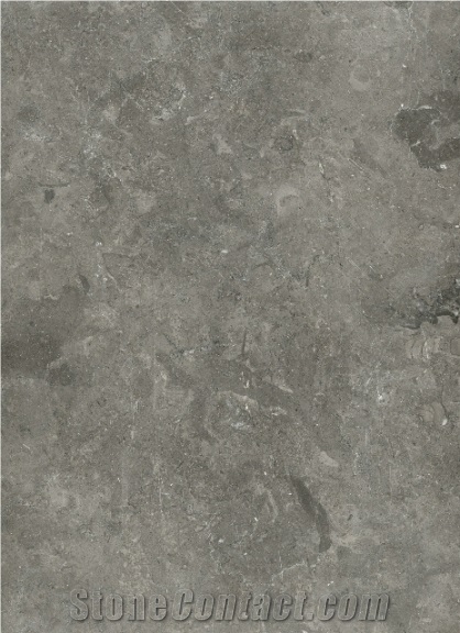 Melli Gray (royal Gray)