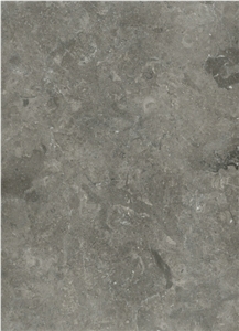 Melli Gray (royal Gray)