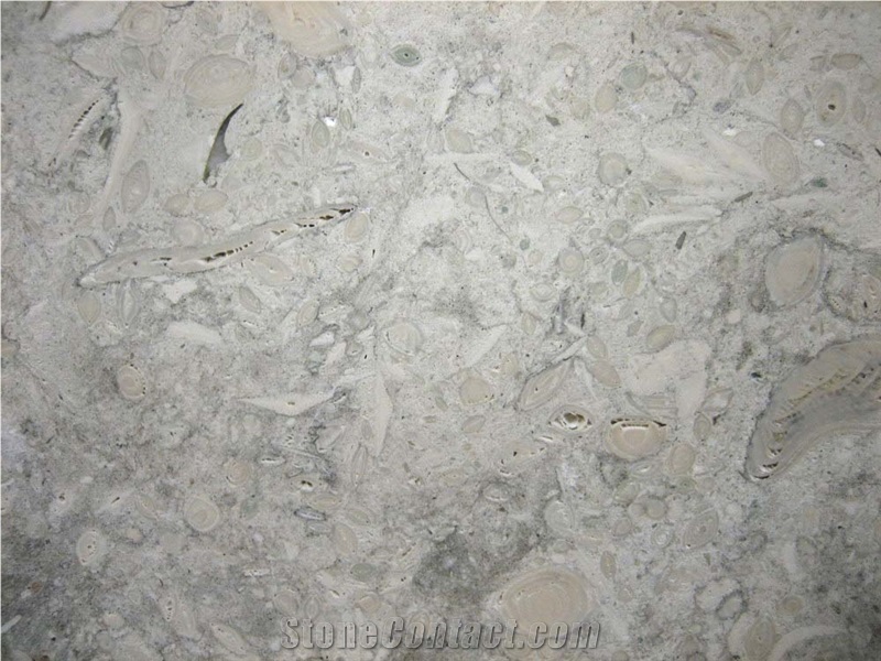 White Fantasy Limestone Slabs & Tiles