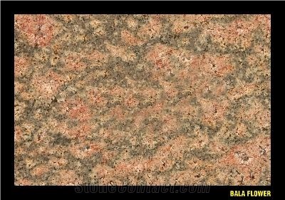 Bala Flower Granite Slabs & Tiles, India Green Granite