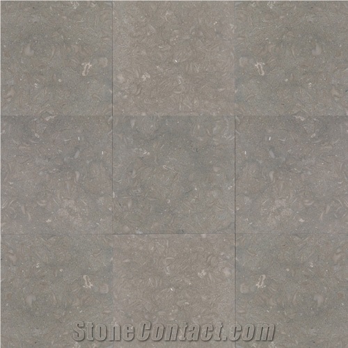 Seagrass Grey Limestone Slabs & Tiles, Turkey Grey Limestone