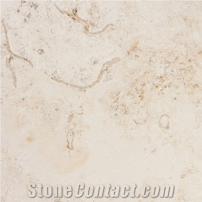 Bone Light Limestone Slabs & Tiles, Israel White Limestone