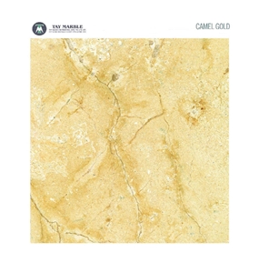 Camel Gold Limestone Slabs & Tiles, Turkey Yellow Limestone