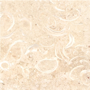 Coquina Shellstone Limestone Slabs & Tiles, Mexico Beige Limestone