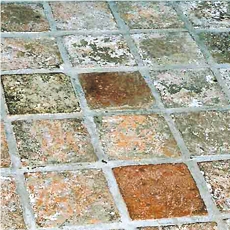 Jerusalem Grey Pink Limestone Pavement