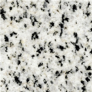 Bianco Halayeb Granite Slabs & Tiles, Egypt White Granite