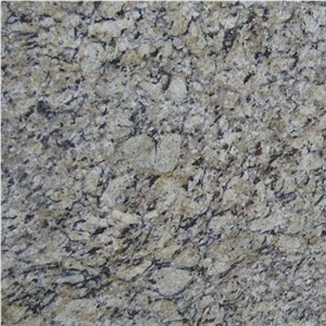 Giallo Arabescato Granite,Amarello Arabesco Granite Slabs & Tiles,Brazil Yellow Granite Giallo Arabescato Granite,Amarello Arabesco Granite Slabs & Tiles,Brazil Yellow Granite