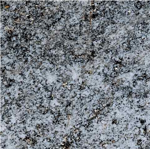 Beola Grigia Quartzite Slabs & Tiles, Italy Grey Quartzite