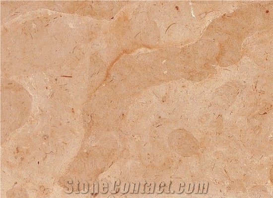 Dorado Tepexi Limestone Slabs & Tiles, Mexico Yellow Limestone