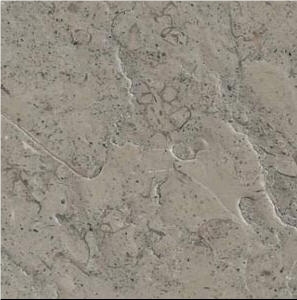 Jerusalem Grey Limestone Brushed Slabs & Tiles, Israel Grey Limestone Jerusalem Grey Limestone Brushed Slabs & Tiles, Israel Grey Limestone