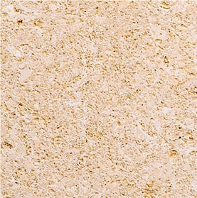 Amarelo Fossil De Poro Aberto Limestone Amarelo Fossil De Poro Aberto Limestone