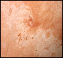 Brazil Pink Quartzite