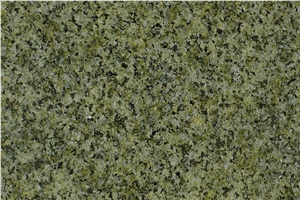 China Green Granite Slabs & Tiles