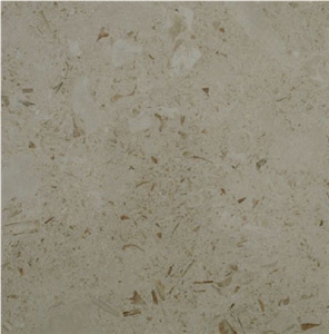 Myra Beige Limestone - New Product