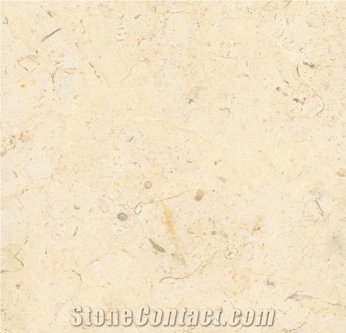 Jerusalem Bone Limestone Slabs & Tiles, Israel White Limestone