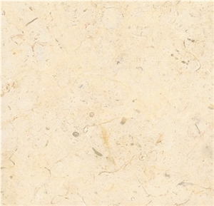Jerusalem Bone Limestone Slabs & Tiles, Israel White Limestone