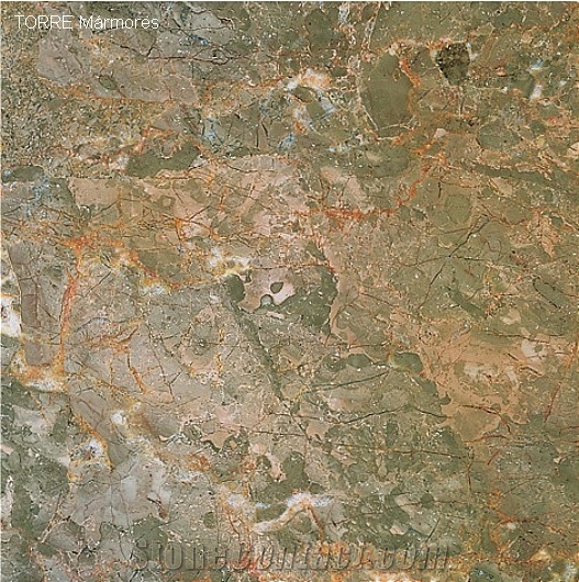 Brecha Tavira Limestone Slabs & Tiles